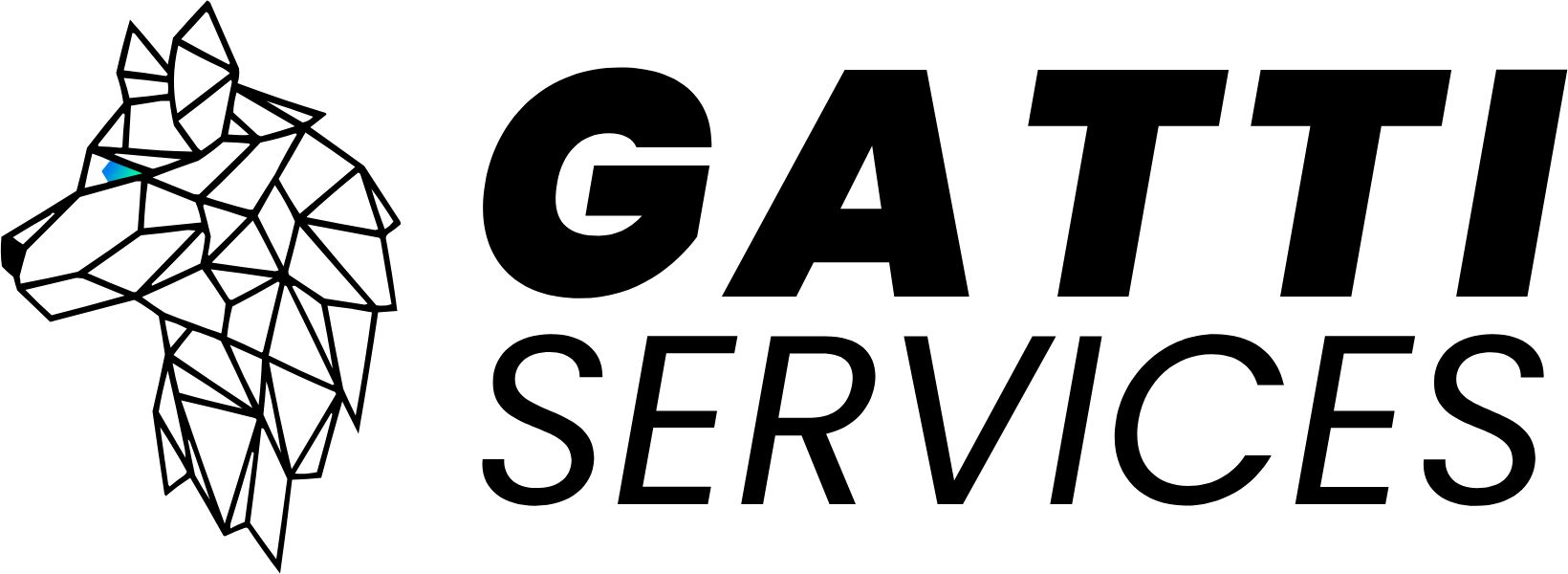 Gatti Consulting GmbH